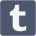 Tumblr Button
